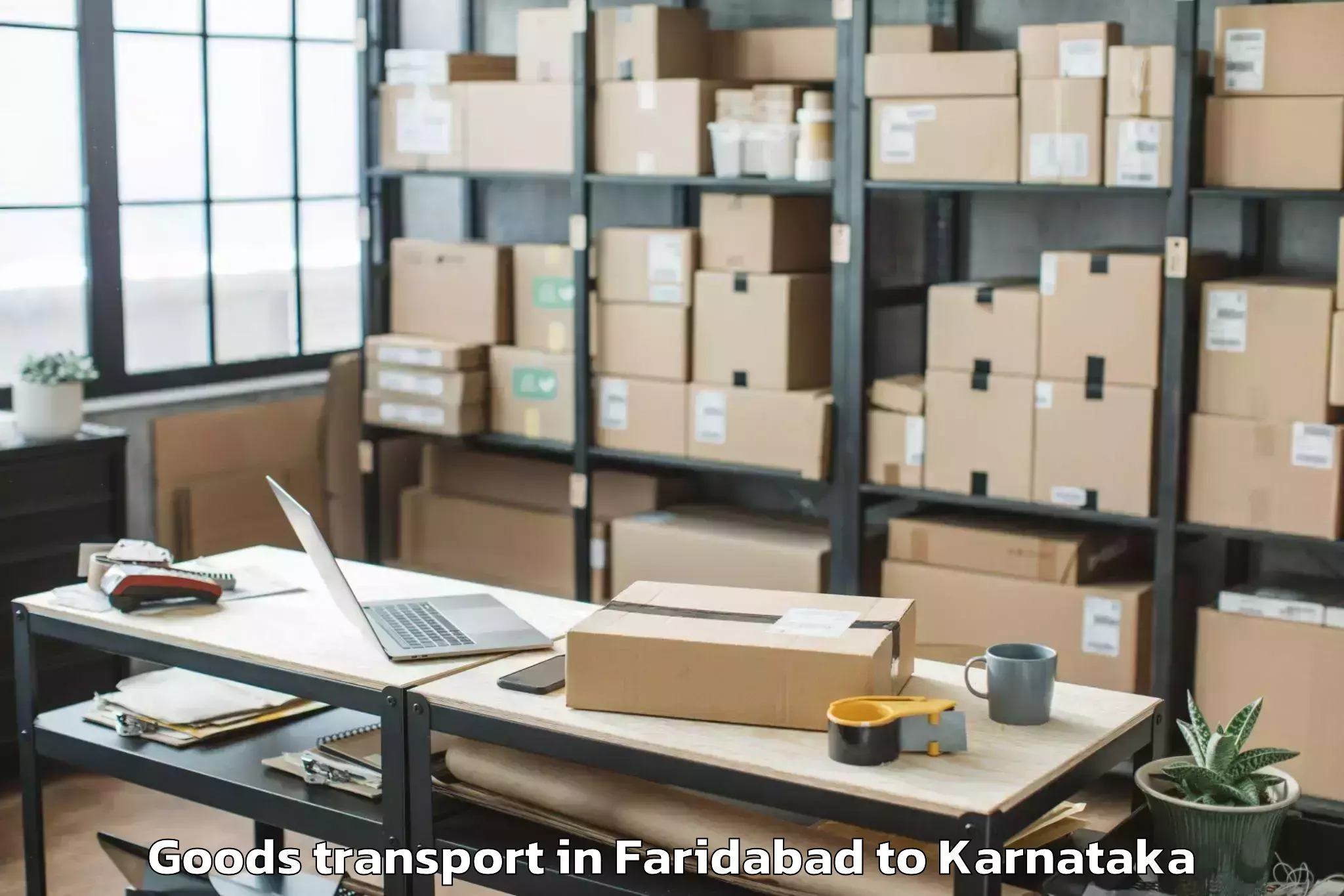 Professional Faridabad to Alur Goods Transport